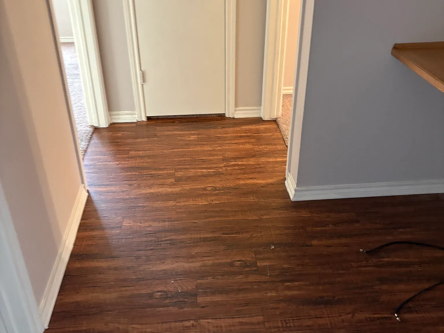 2 bed, 1000 sqft, $1,390 — Photo 3
