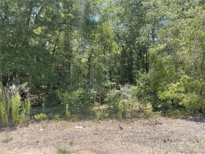 SW 22nd Pl LOT 1, Ocala, FL, 34481