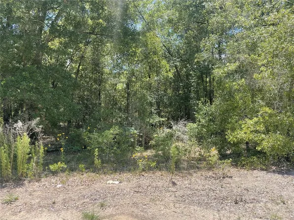 SW 22nd Pl Lot 1, Ocala, FL 34481