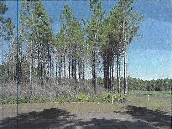 1st image of 501 Neap Tide Ln