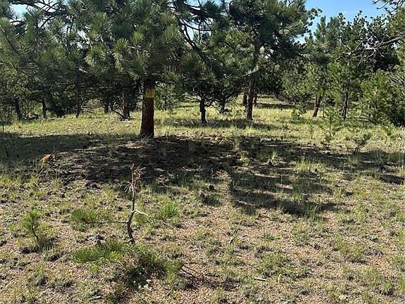 3rd image of 315 Thunder Ridge Rd