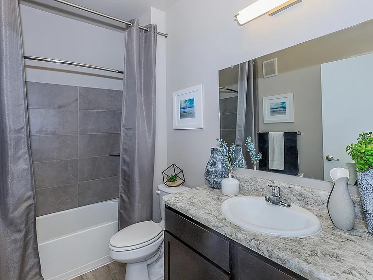 Vantage at McKinney Falls B2 Bathroom