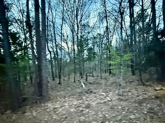 5th image of Little Coontail Rd