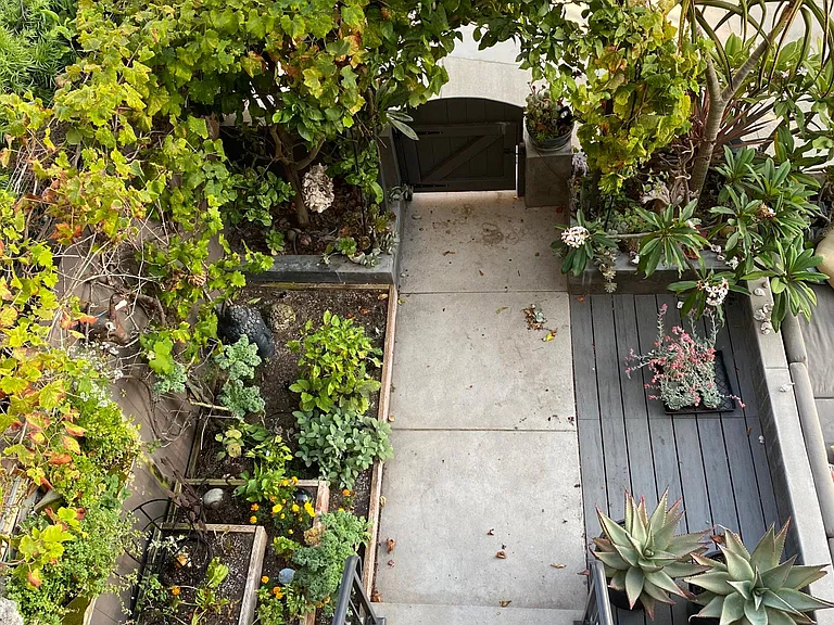 Vegetable Garden with Automatic Sprinklers