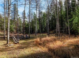 LOT 216620 Indian Springs Rd, Conifer, CO 80433