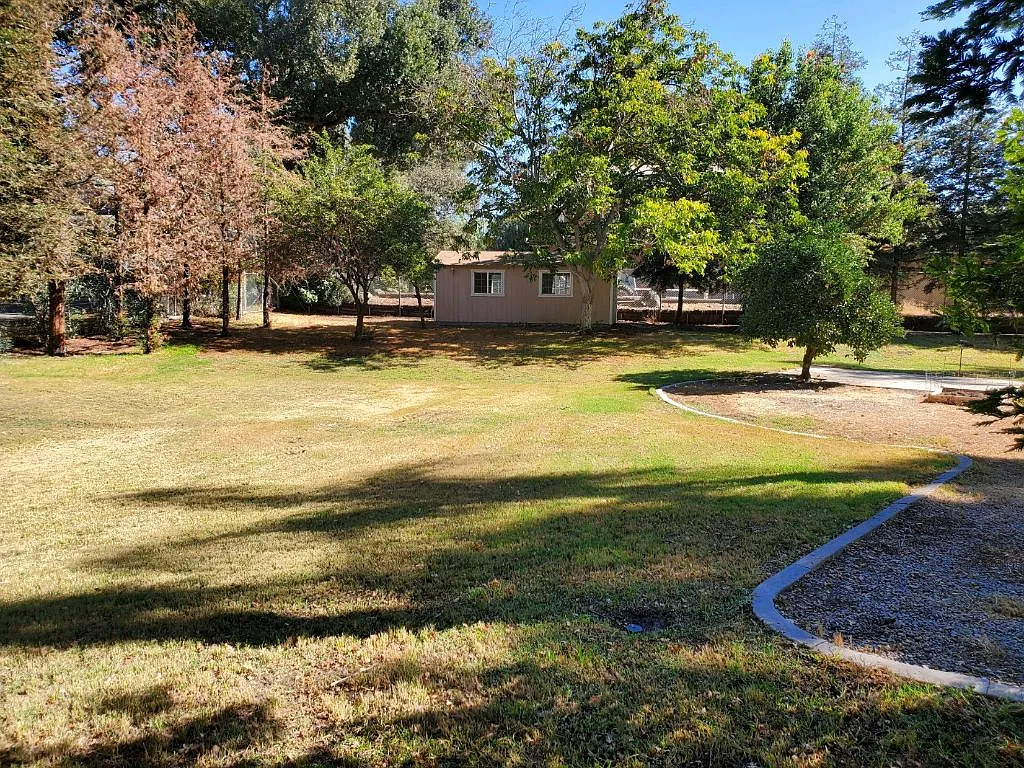3 bed, 2000 sqft, $2,650 — Photo 3