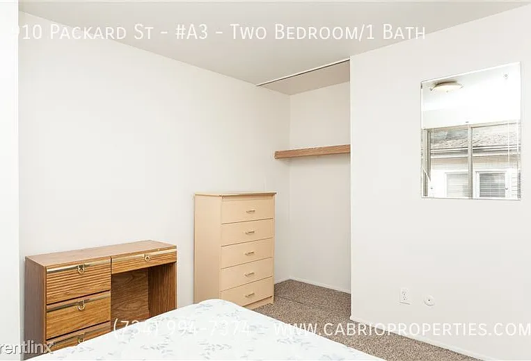 910 Packard St — Photo 12