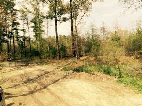 2nd image of 250 Shady Willow Blvd