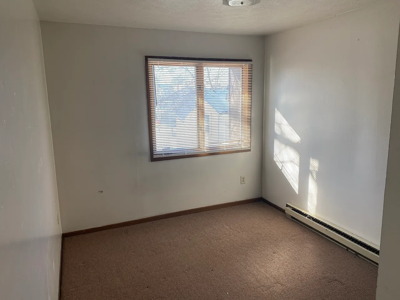 1 bed, 1.5 bath, 500 sqft, $500 — Photo 2