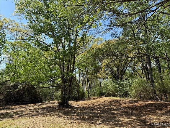 4th image of 2 County Road 81