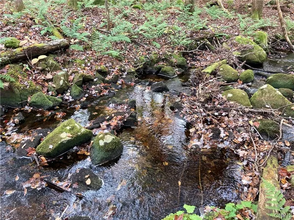 0 Route 365 #16, Remsen, NY 13438