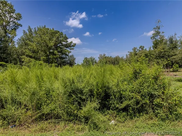 546 Pearsall Rd, Red Springs, NC 28377