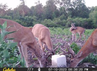 7721 Walters Chapel Rd, Carlisle, AR 72024