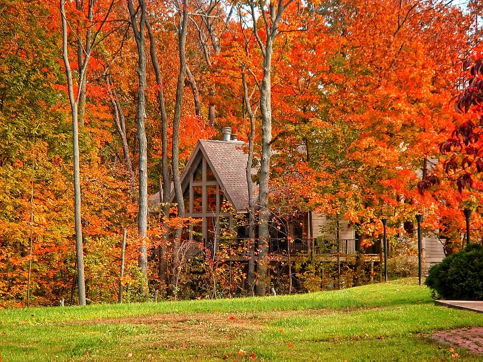Beautiful fall foliage
