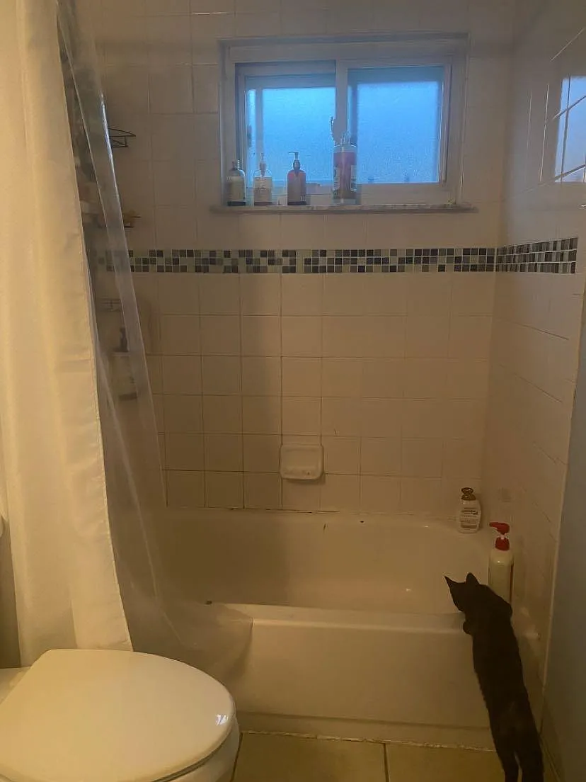 3 bed, 949 sqft, $1,500 — Photo 3
