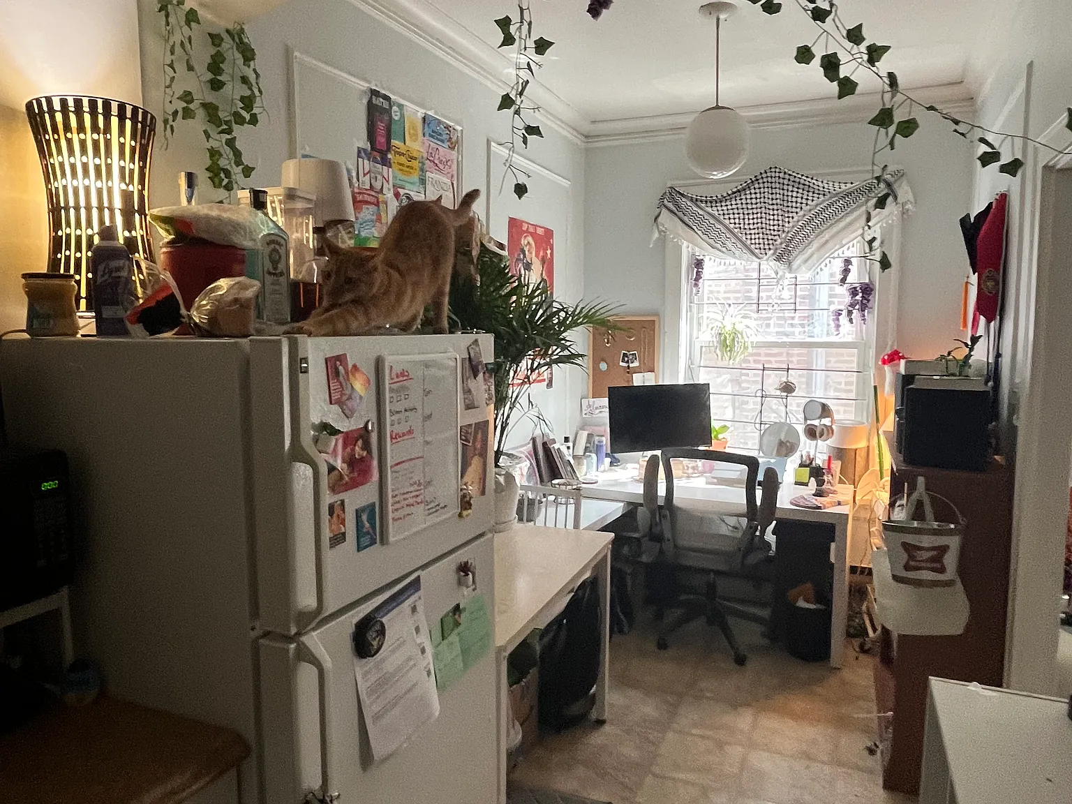 Studio, 450 sqft, $1,155 — Photo 4