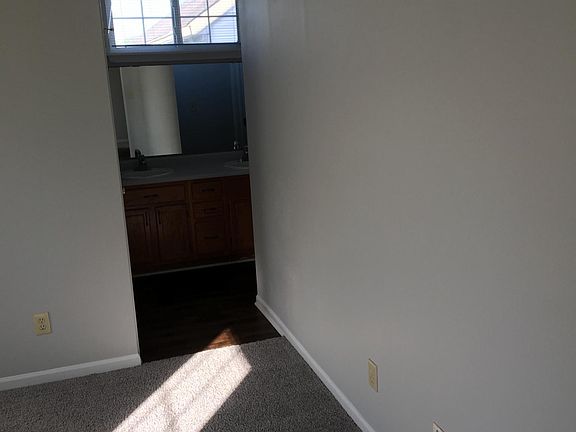 Master bath (walk in closet, double sink, stand up shower)