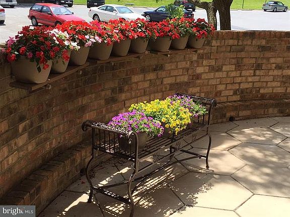2nd image of 5903 Mount Eagle Dr APT 107