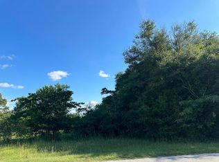 1419 Hephzibah McBean Rd, Hephzibah, GA 30815