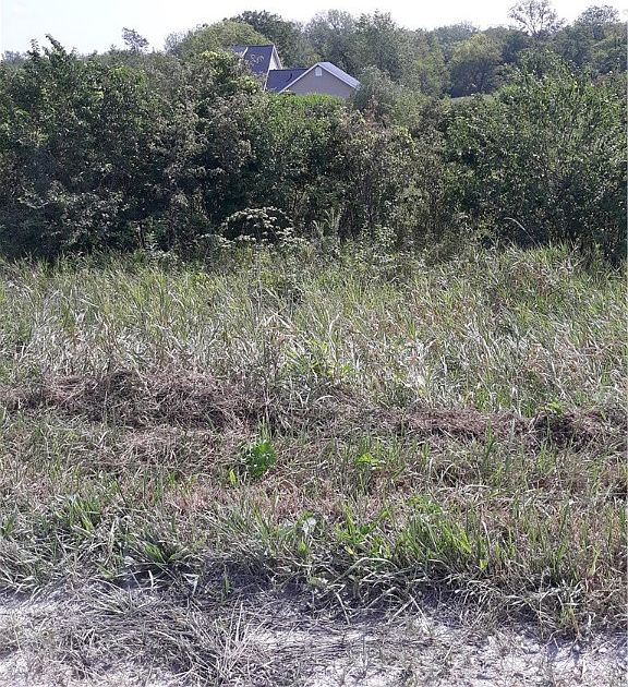1st image of 0 Lakeview Dr