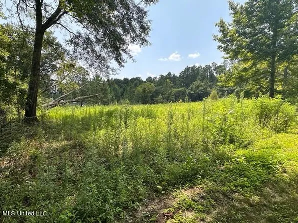 Old Highway 63 N, Lucedale, MS 39452