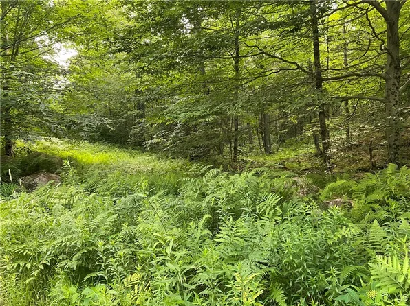 0 State Route 28, Old Forge, NY 13420