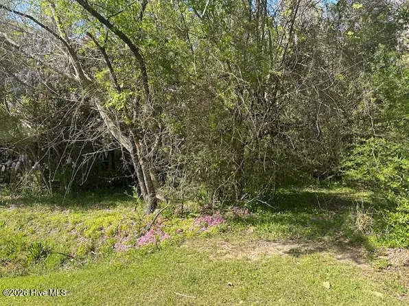 408 Mill Quarters Rd Lot 2, Hallsboro, NC 28442