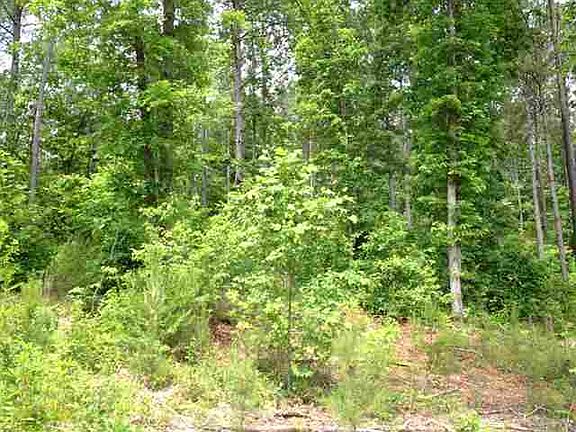 2nd image of LOT 58 Four Pointes N Natures View Dr