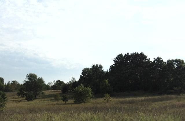 2nd image of 18500 Iceman Rd