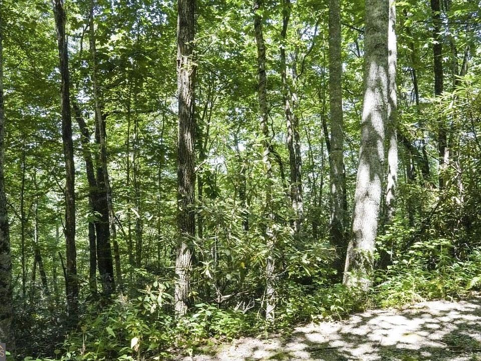 1st image of 0 Mockingbird Ln