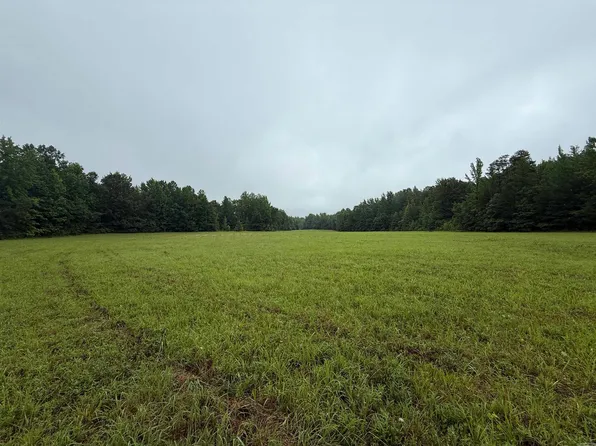 100 Acres Hwy W #34, Beech Grove, AR 72412