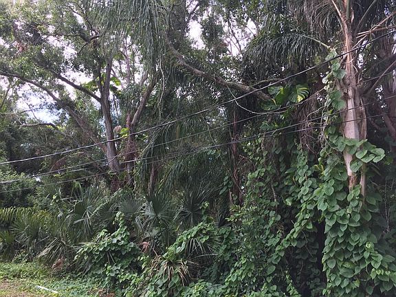 Front Side Yard To Park