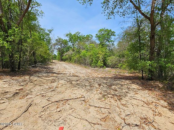 5th image of 21955 Mudge Rd