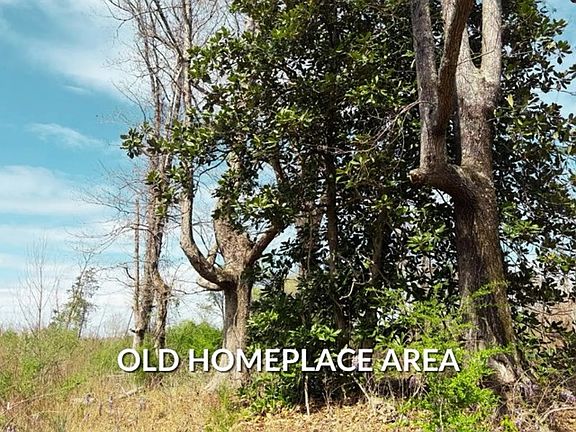 3rd image of 0 Camp Oliver Rd