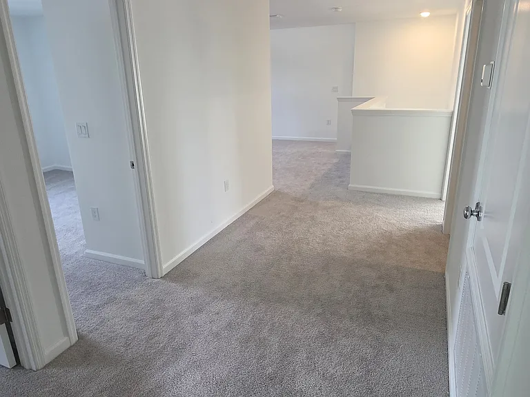 1326 Belle Isle Ln — Photo 19