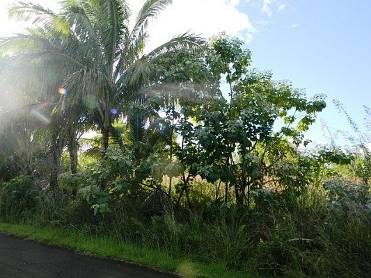 2nd image of LOT 187 Lot 187