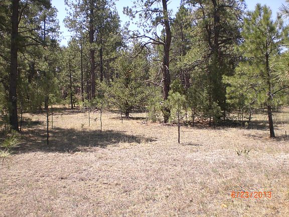 2nd image of LOT 174 Bon Carbo Lot 174