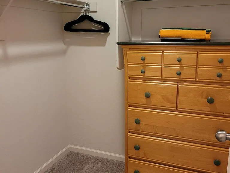 Primary walk-in closet