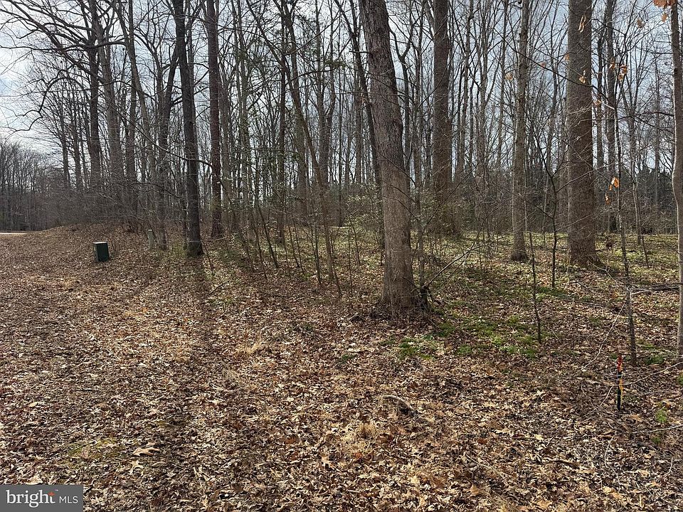 2nd image of 7 Harness Ln