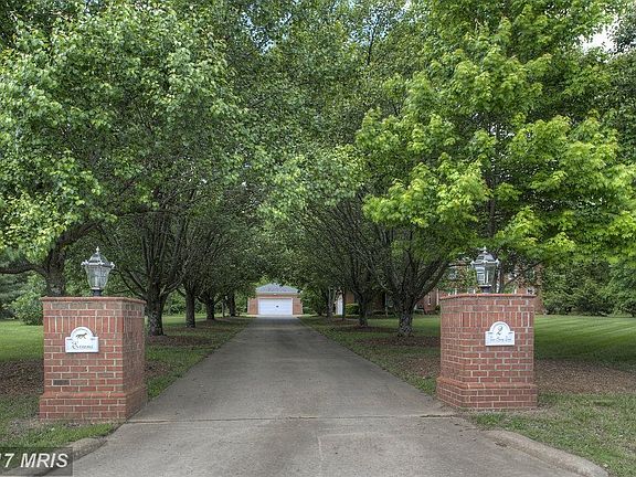 Tree Lined Drive