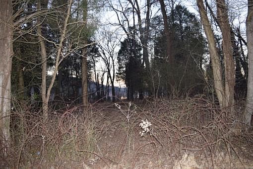 4th image of 460 Chelaque Way Lot 6R