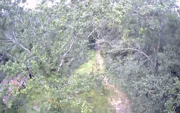 5th image of 844 Pd Selman Rd