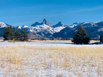 Wild Cat Cyn, Driggs, ID, 83422