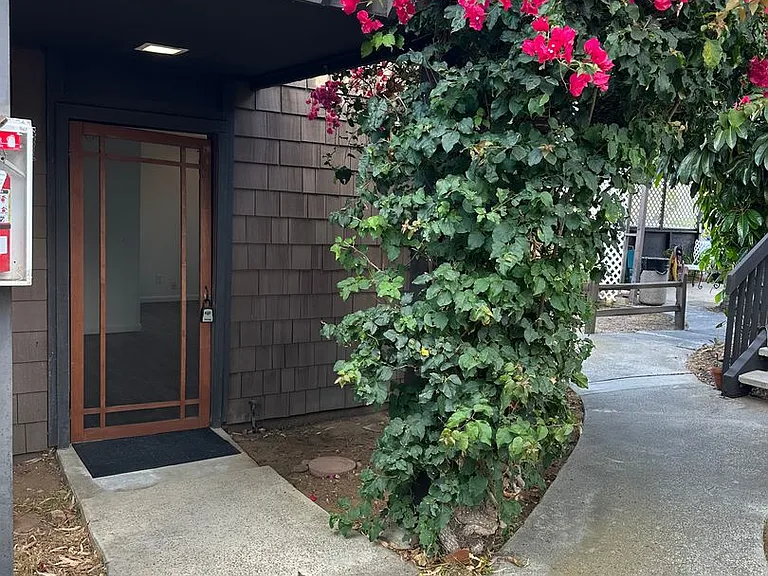 Sea Chase (Acacia Avenue) — Photo 4
