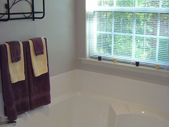 Master Bathroom Soaking Tub