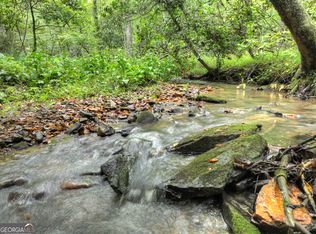 LOT 45 Synacia Dr, Mineral Bluff, GA 30559