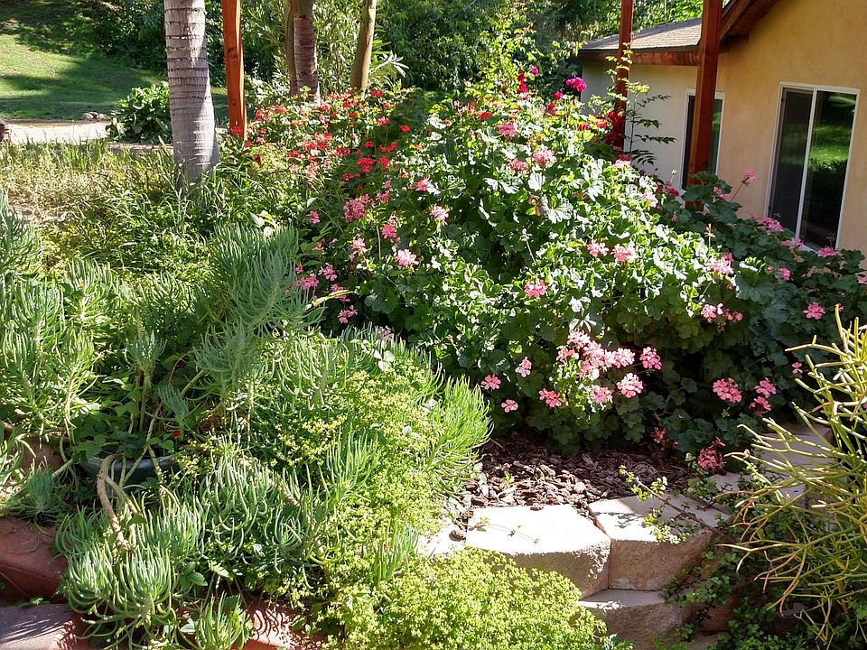 Rear Patio