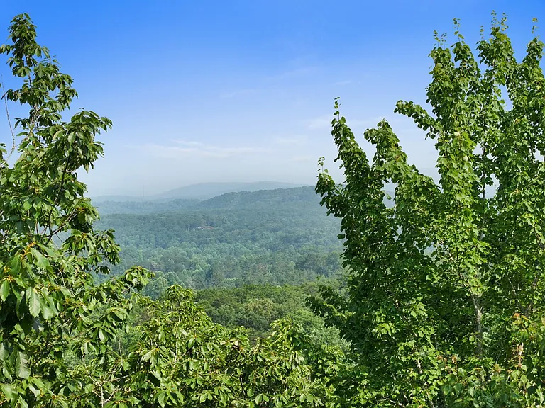 Window View