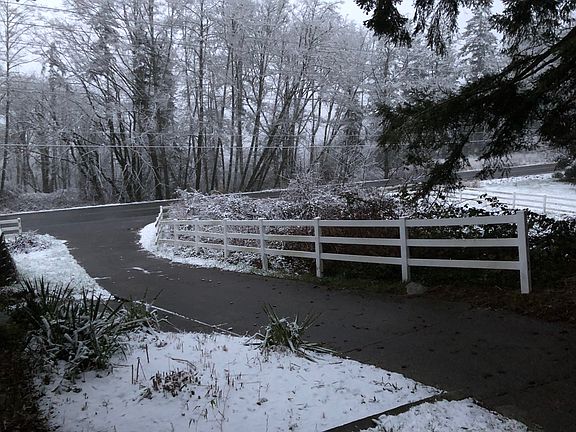 Driveway Winter View. Peekaboo View Of Long Lake In Winter.