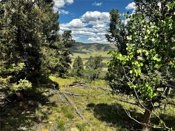 5366 Middle Fork Vis, Fairplay, CO 80440